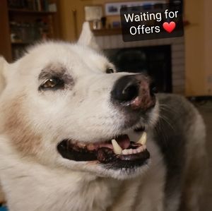 💜WAITING FOR  OFFERS💜